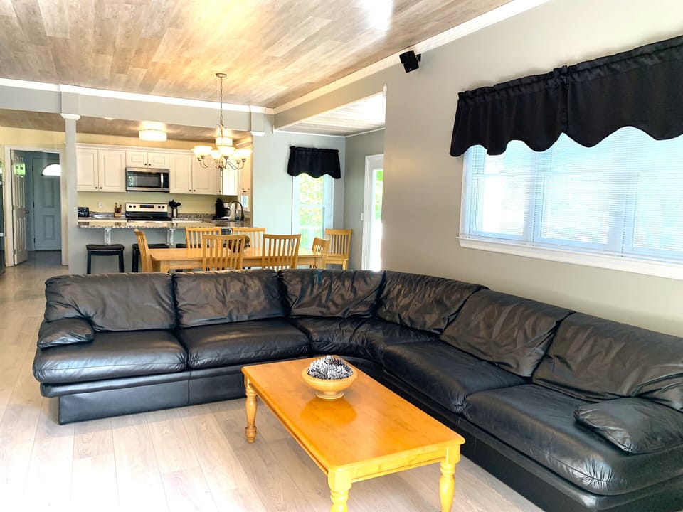 New leather sofa and window treatments
