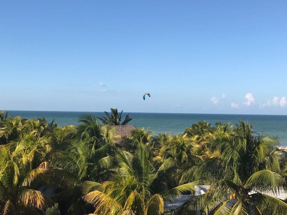 Beach/ocean view