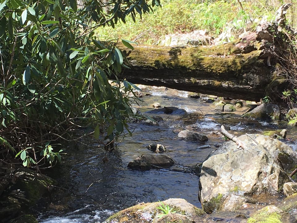A stream near the cabin