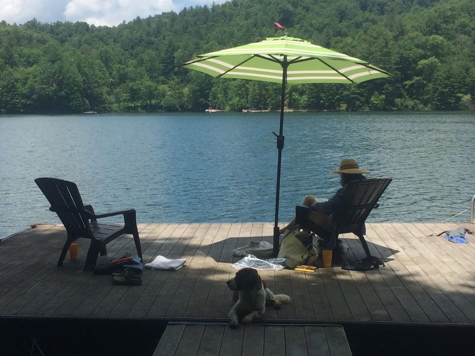 Dogs welcome! 

