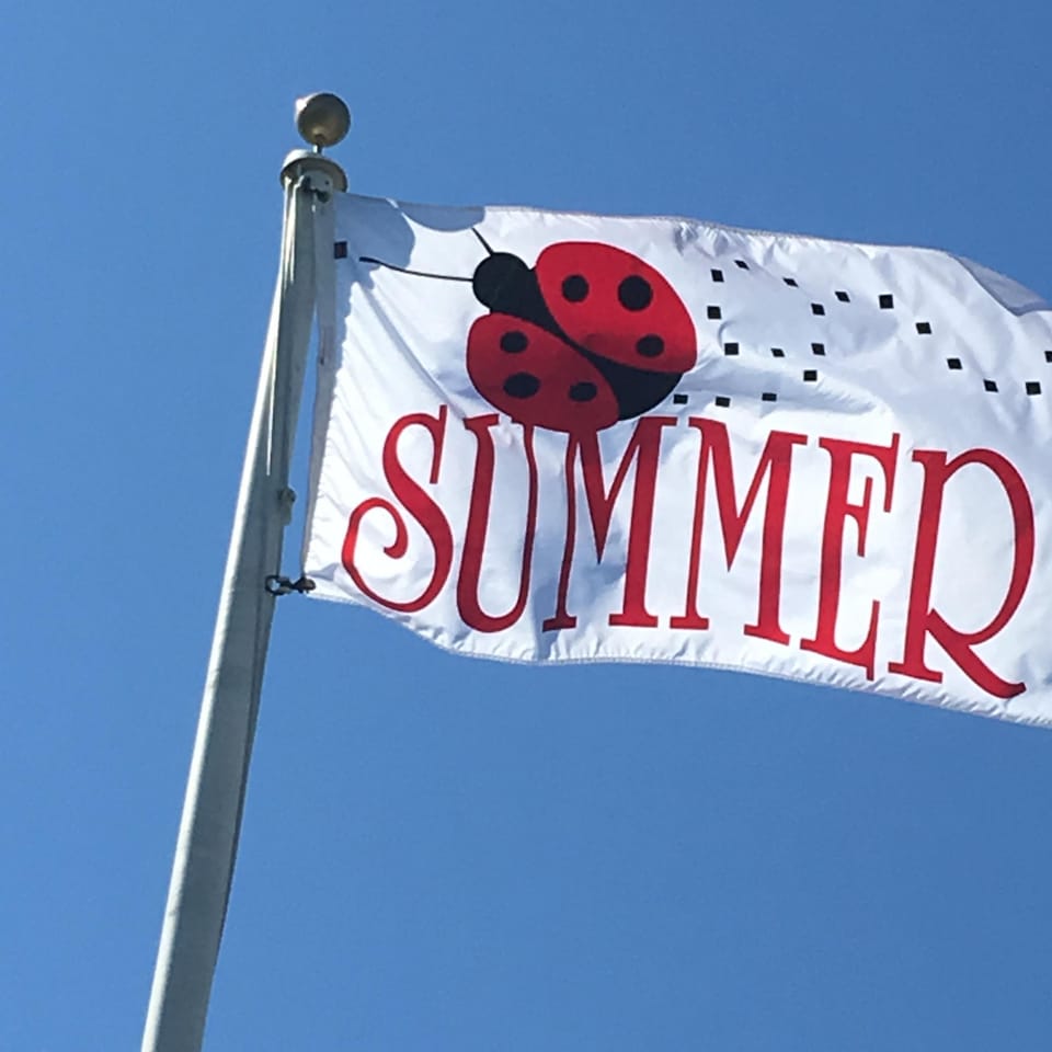 Many flags to choose from - or bring your own