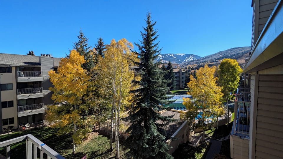 View from balcony
