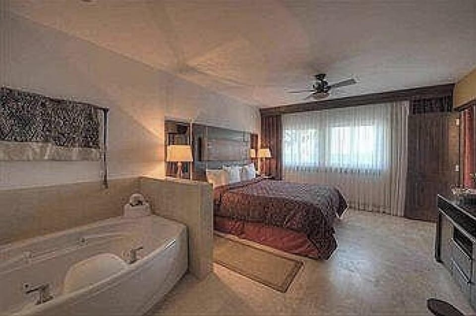 master bedroom with Jacuzzi