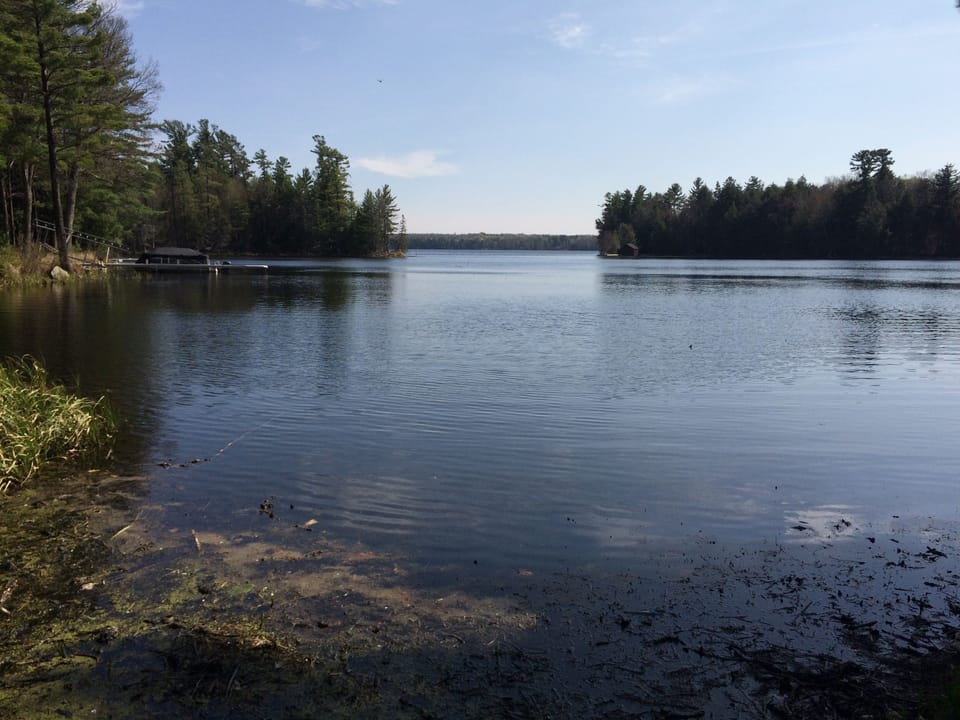 Lake view from pier (June)
