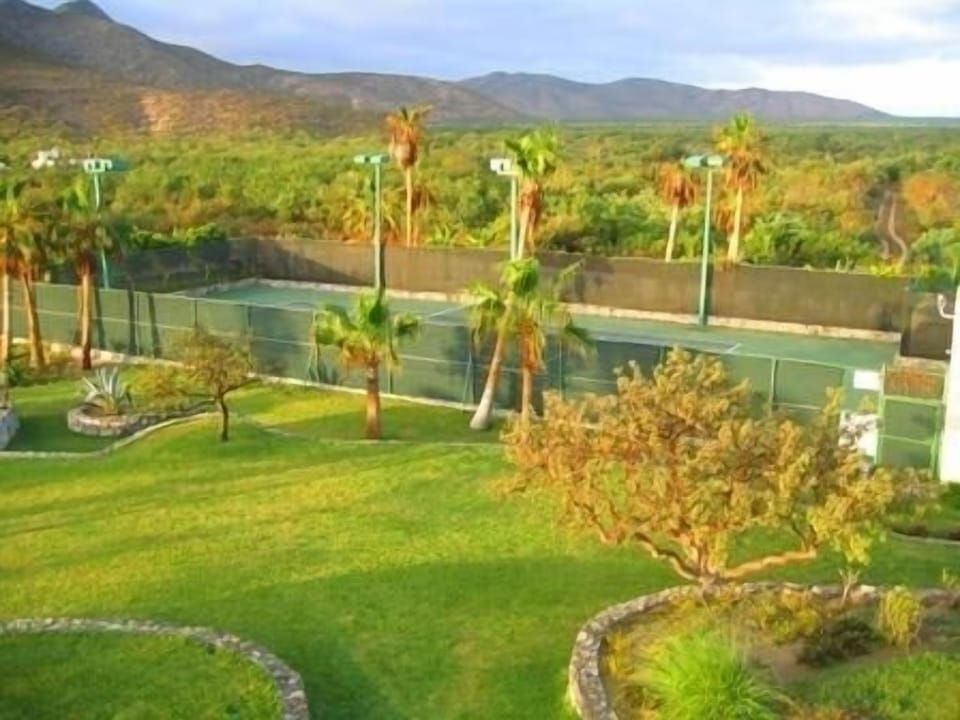 Tennis court
