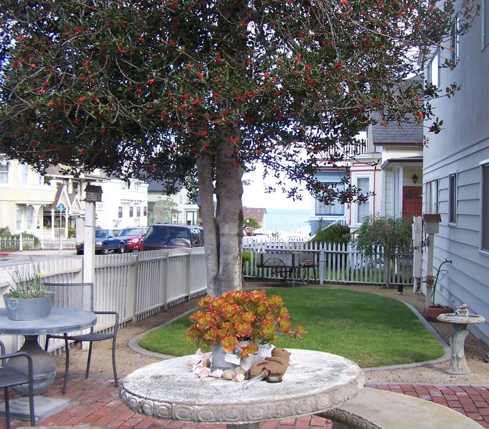 Patio with Ocean View