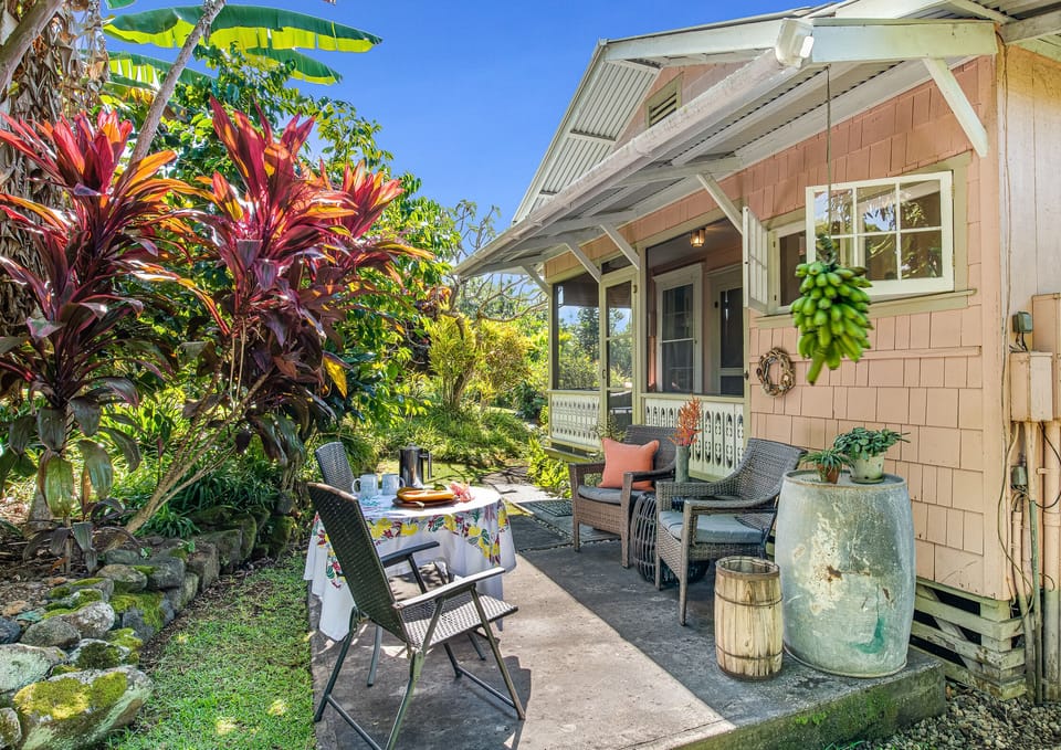Outdoor sitting terrace and BBQ area