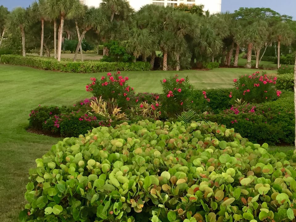 Beach Park - private access