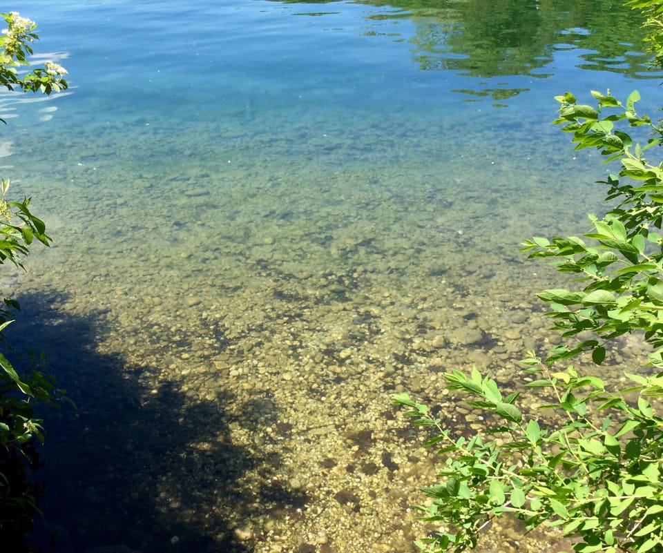 Shallow water for walking into the lake...water shoes are a must!