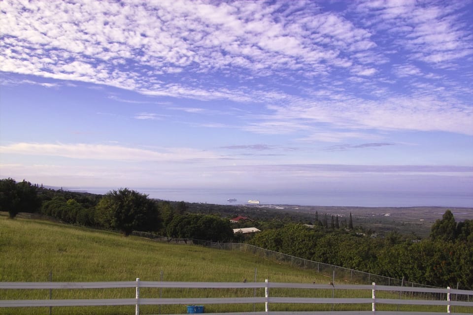 View from the Cottage