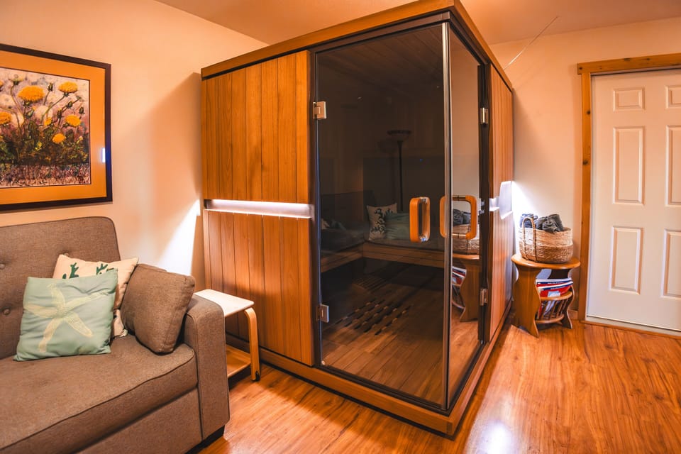 Sunlighten Infrared Sauna in the lower level living room and couch