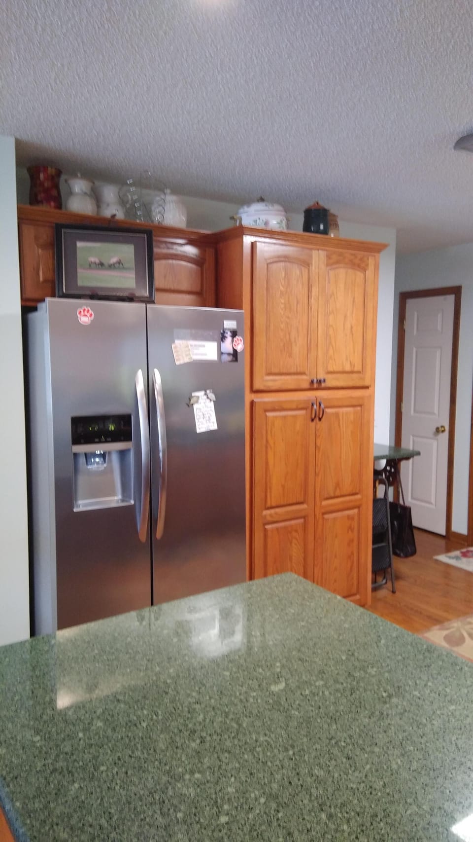 New Stainless Frig & Fold-out pantry
