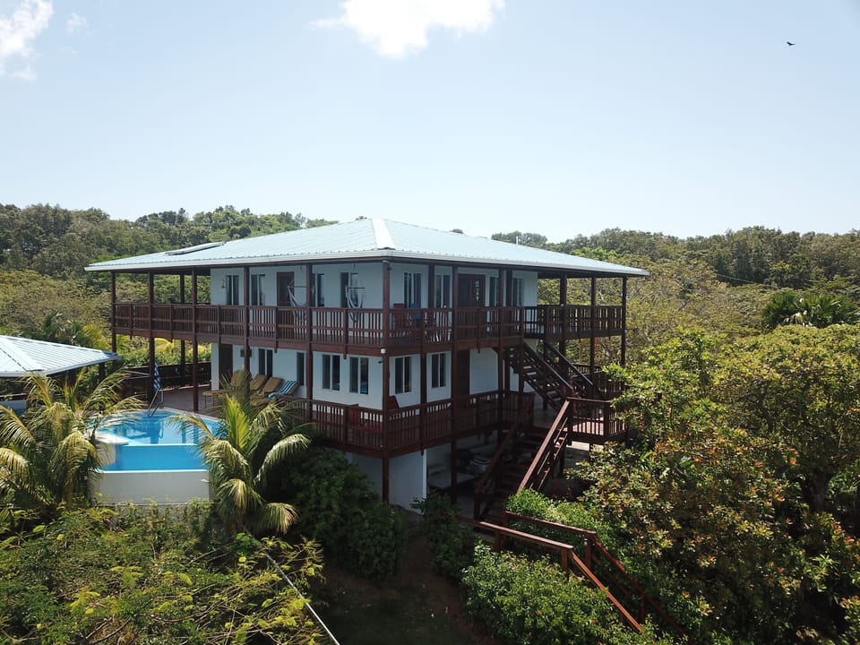 front of Casa Caribe Roatan + pool and jungle views
