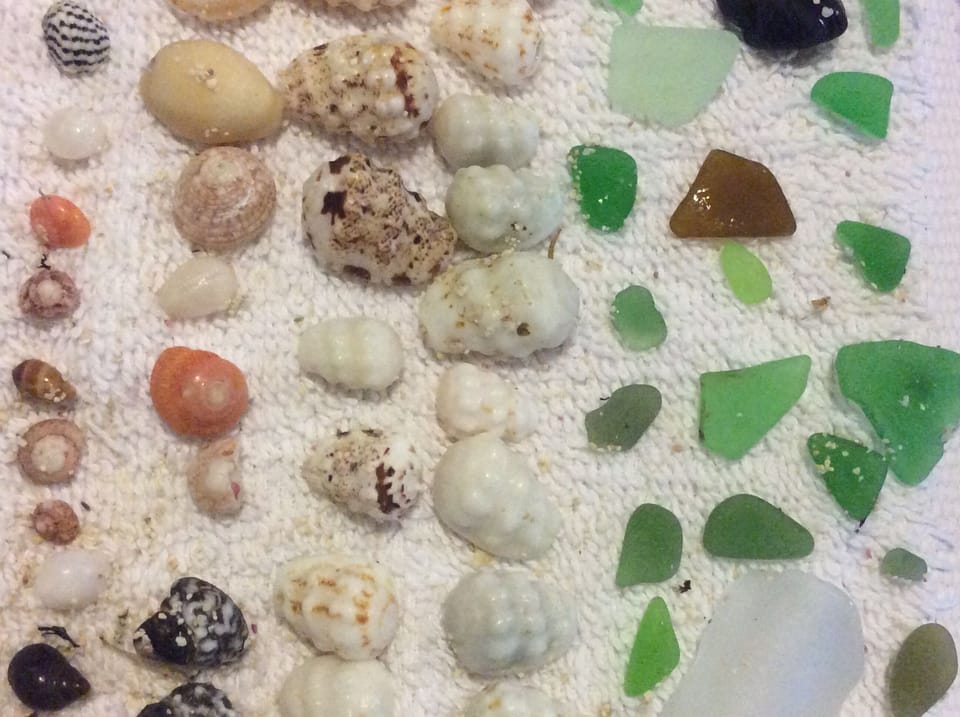 Seashells and Seaglass from Crossing Rocks Beach