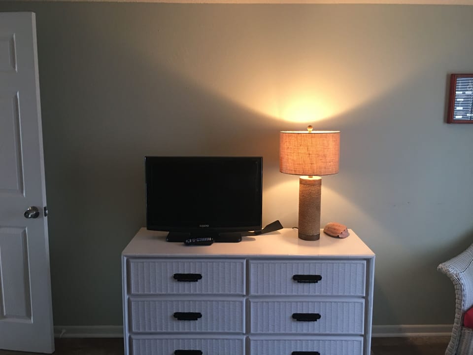 Guest bedroom with flat screen TV