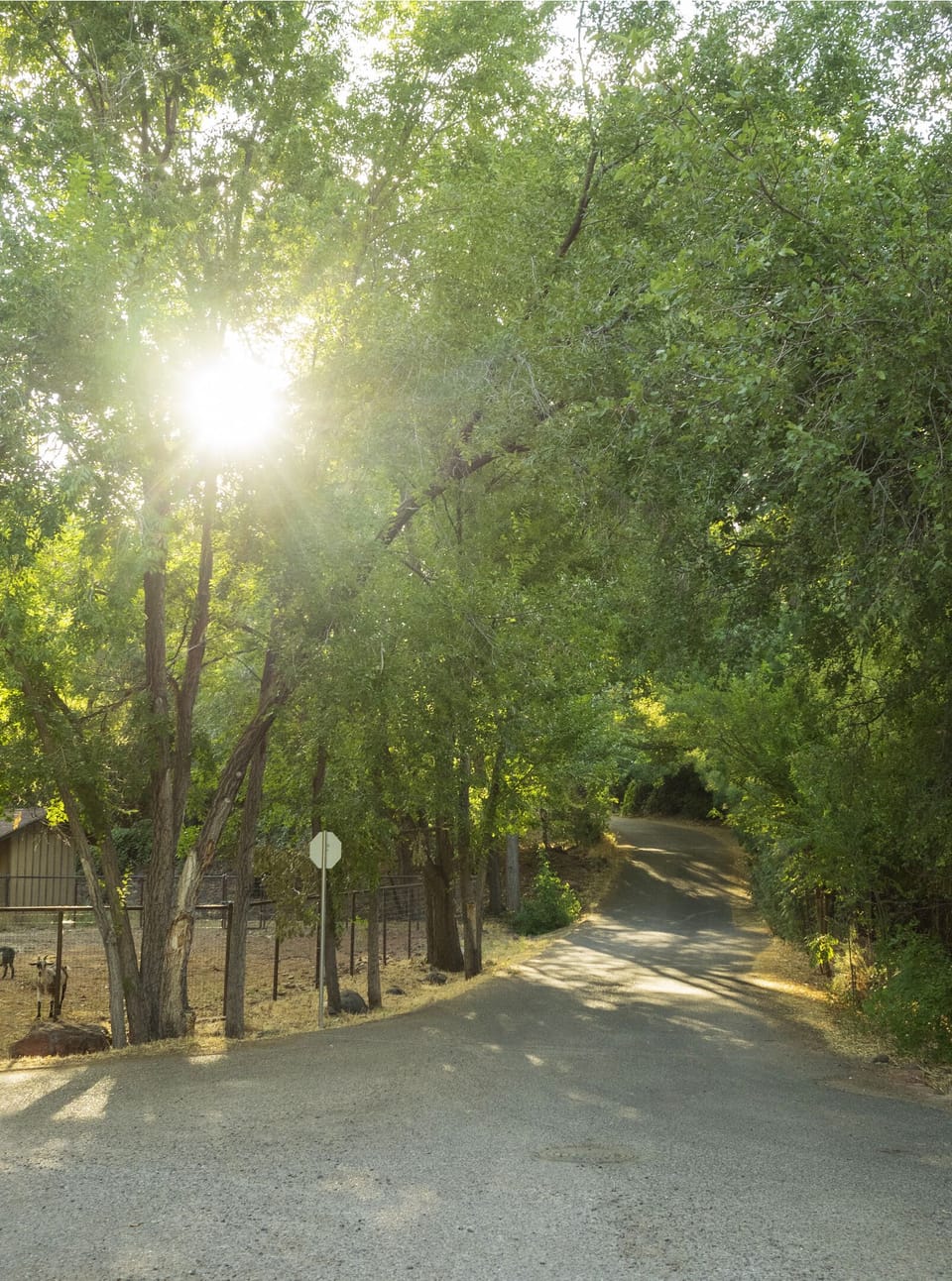 Where Copper Cliffs drive meets the lane