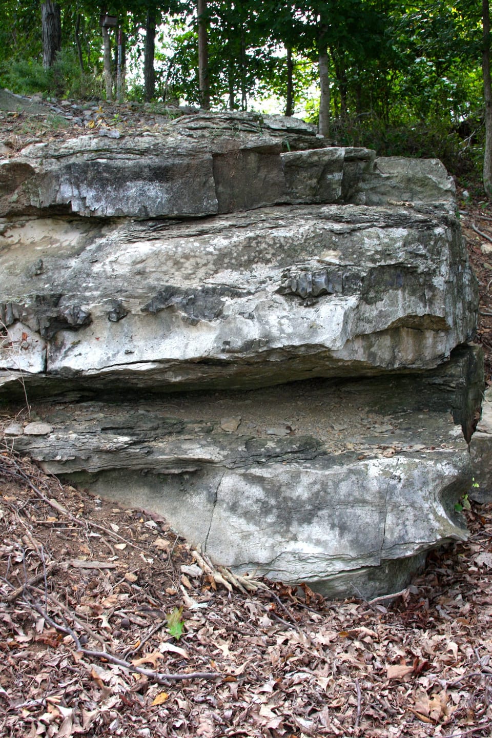A great place to sit and enjoy the scenery
