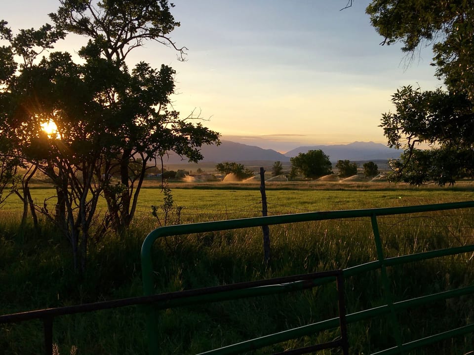 View from property