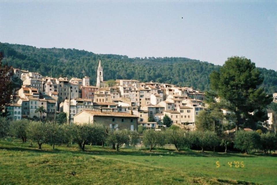 Looking up at the charming village of Callas from olive trees below.