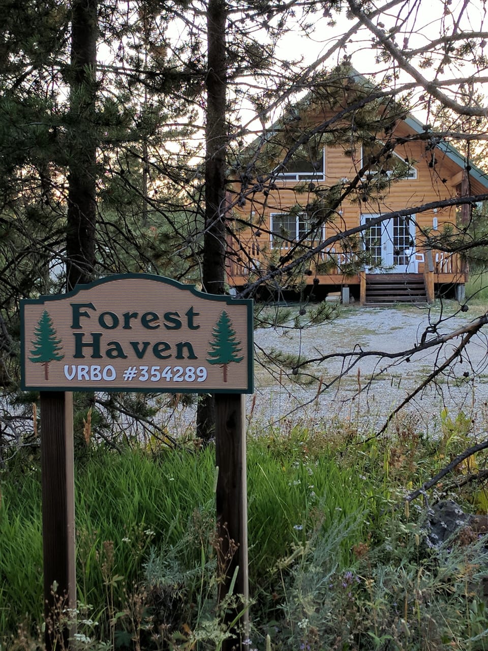 Forest Haven