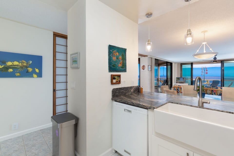Kitchen - dishwasher and farmhouse sink