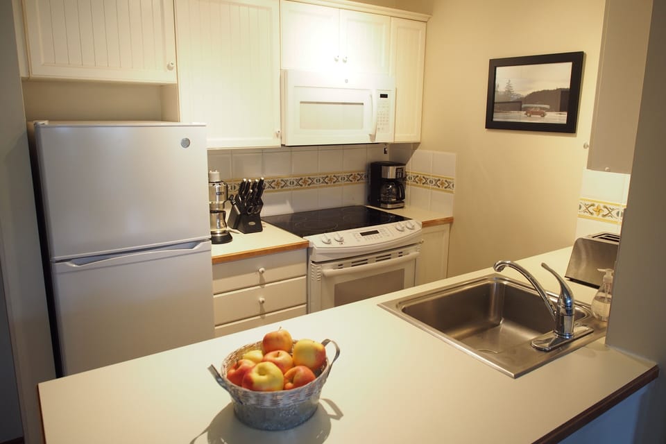 Kitchen with full fridge, stove, microwave, dishwasher