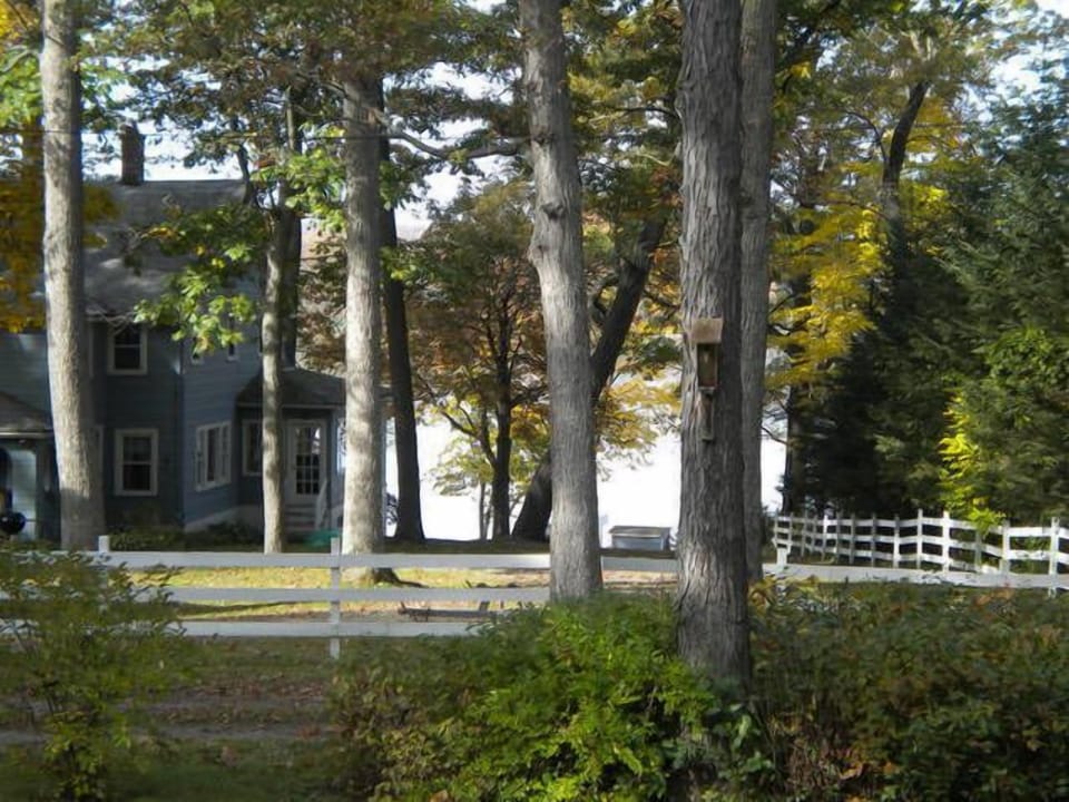 View From The Front Deck