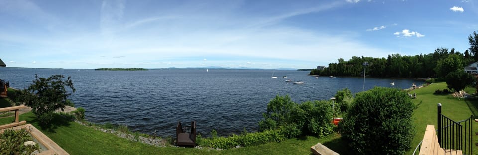 Panoramic view of the back yard