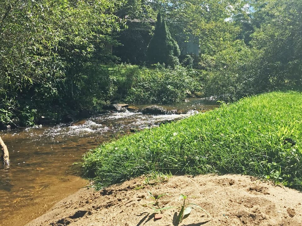 Middle Fork New River begins in BR; flows beside   
property