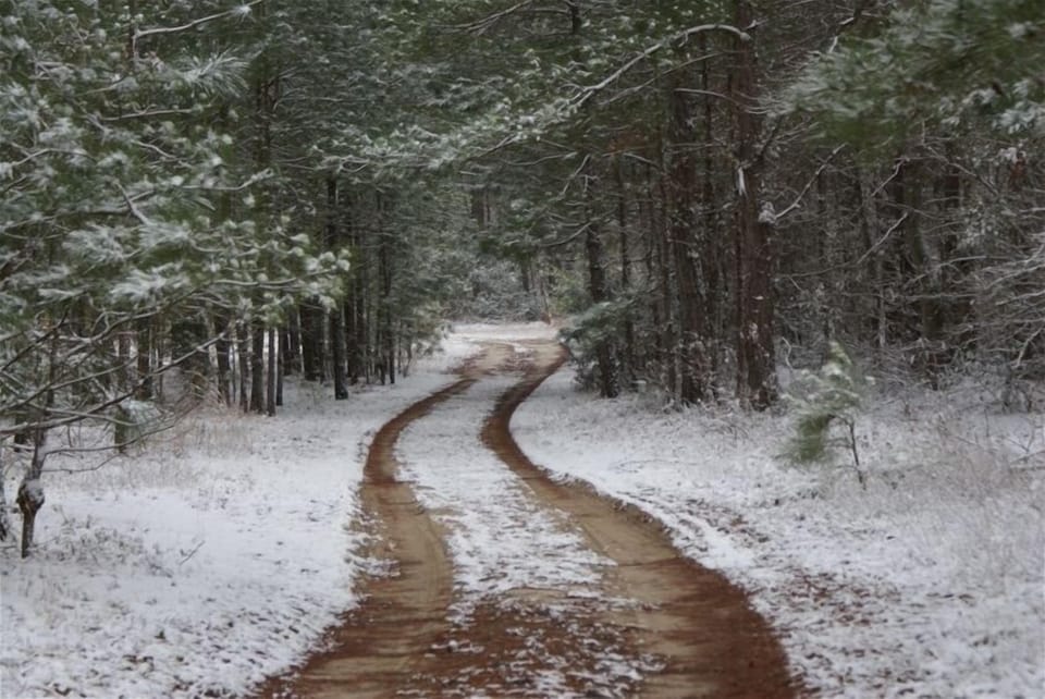 Pathway to Paradise