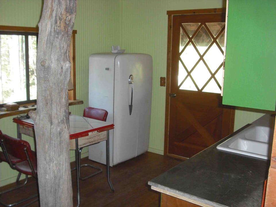  Vintage Dinning table and fridge.