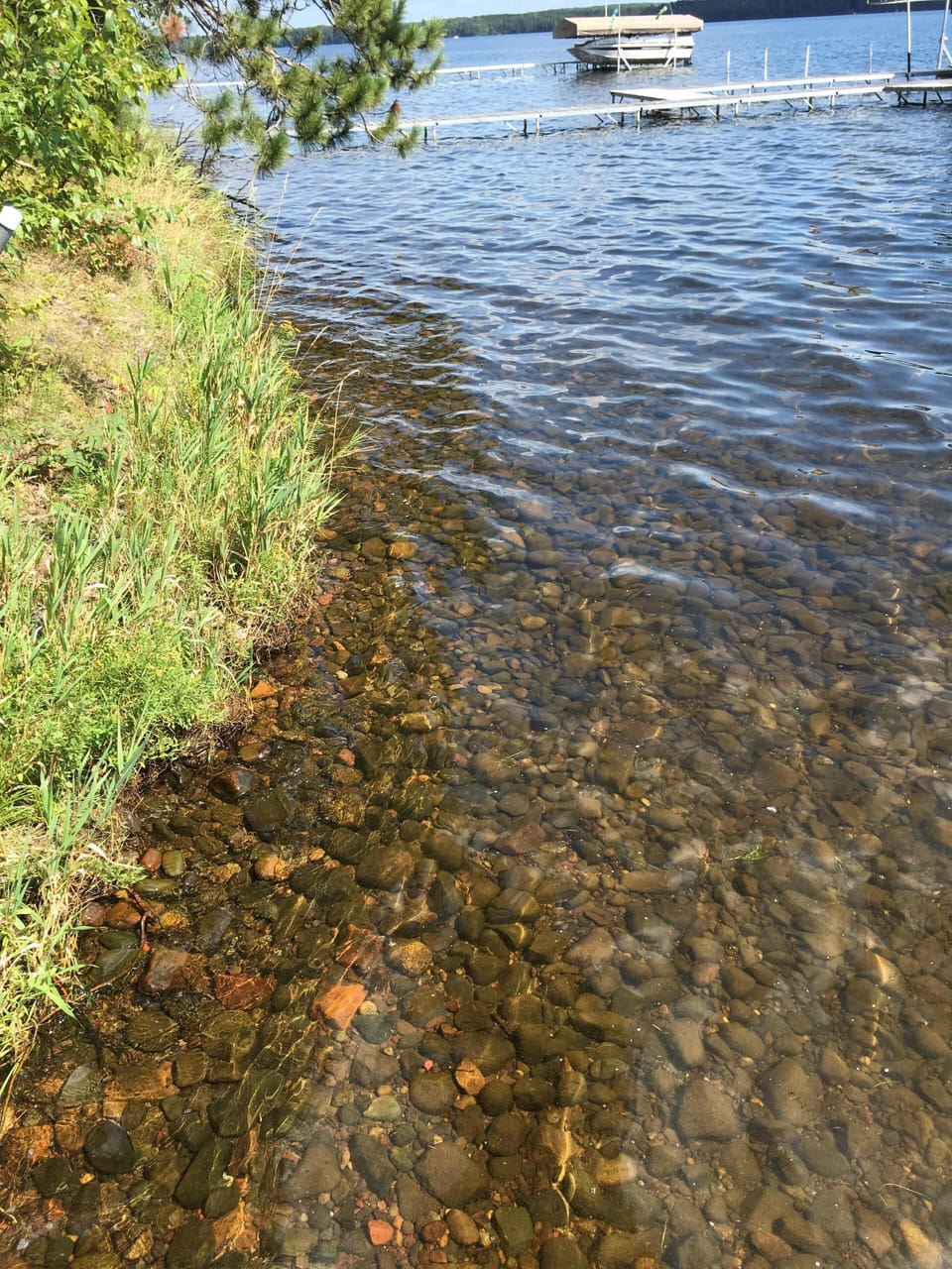 pebble bottom lake shore