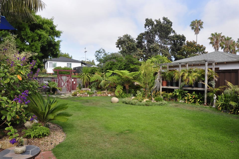 Yard.
