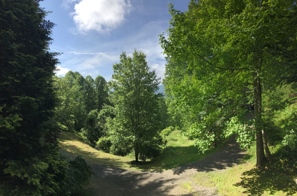 View off front porch