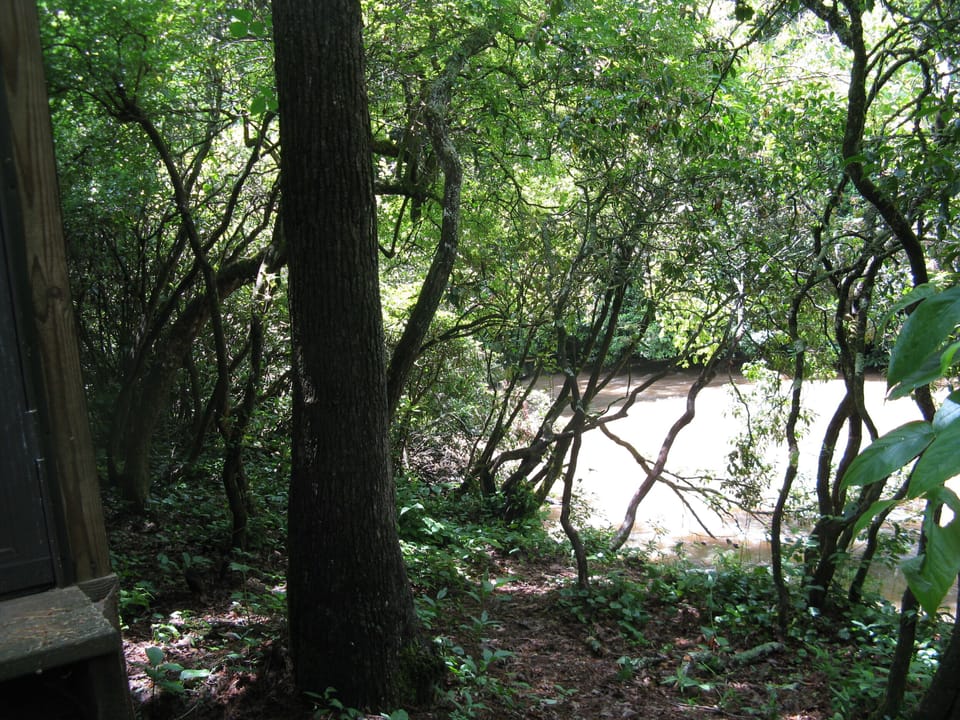 River is just off the screened in porch. 