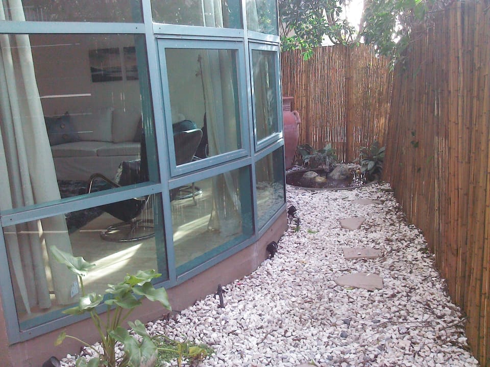 Daytime view of private enclosed secure courtyard bay windows.