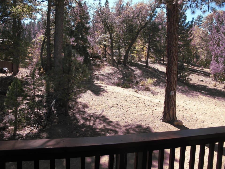 Upper deck with forest view