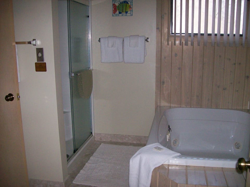 Master bath with two person jetted tub