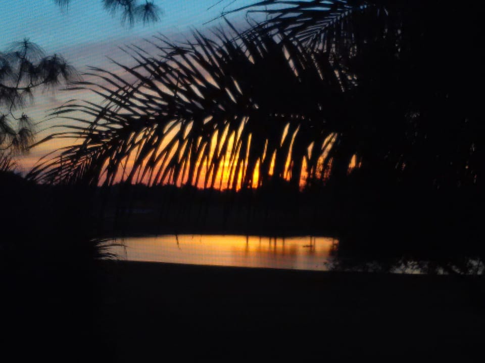 View from Lanai