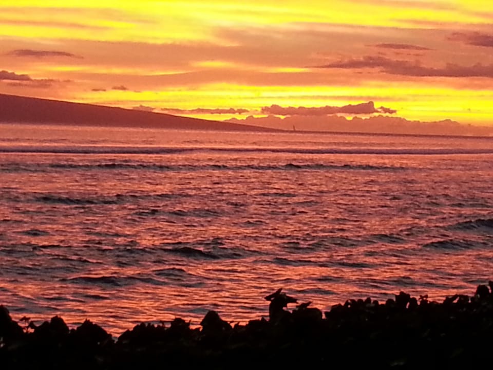 Tropical sunset
