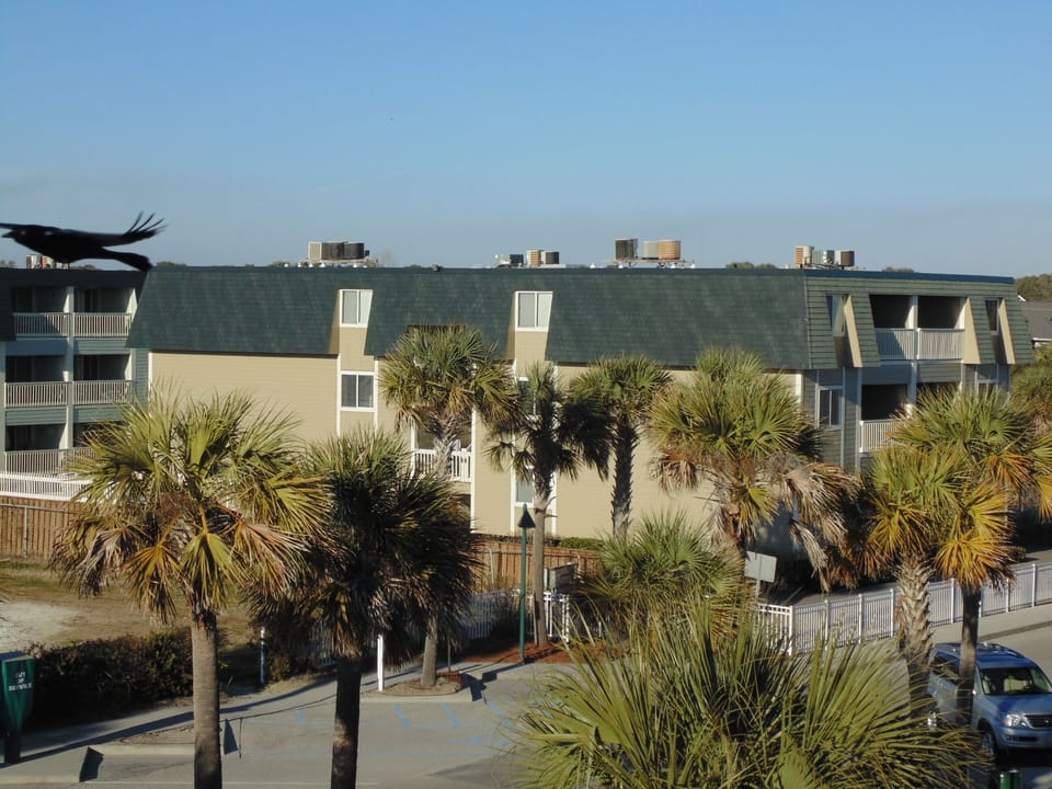 Oceanside Villas (as seen from Ocean Blvd)