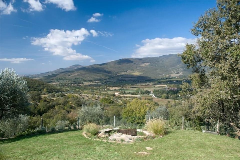 View from front yard