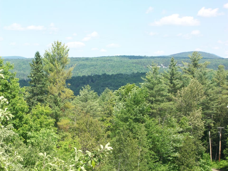 Balcony view.
