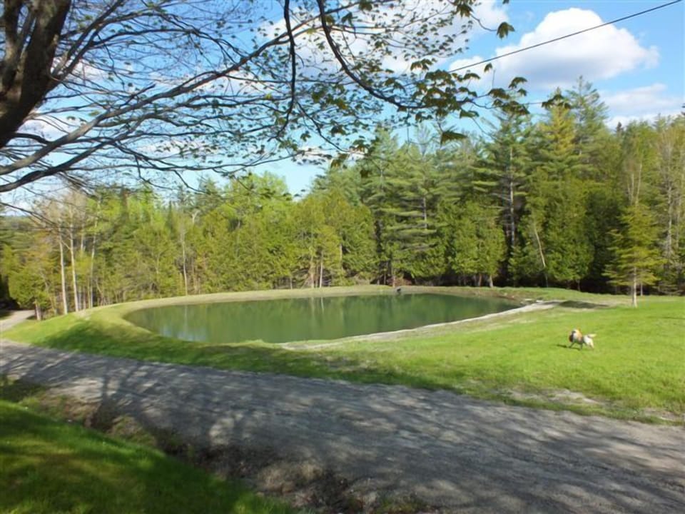 Private pond on site with paddle boat for your use.