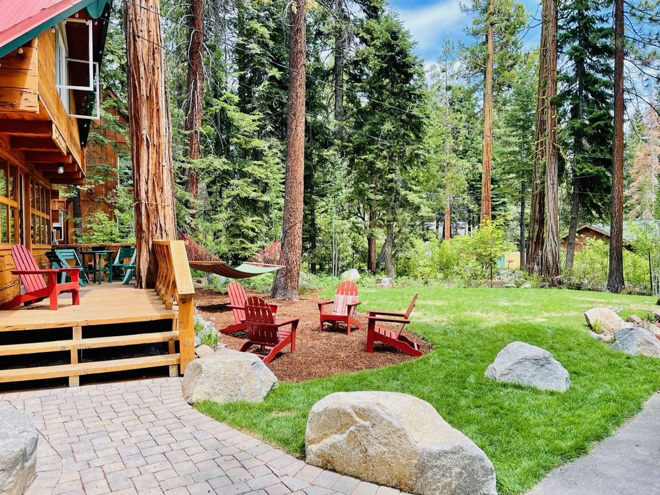 Swing in the hammock below the trees.