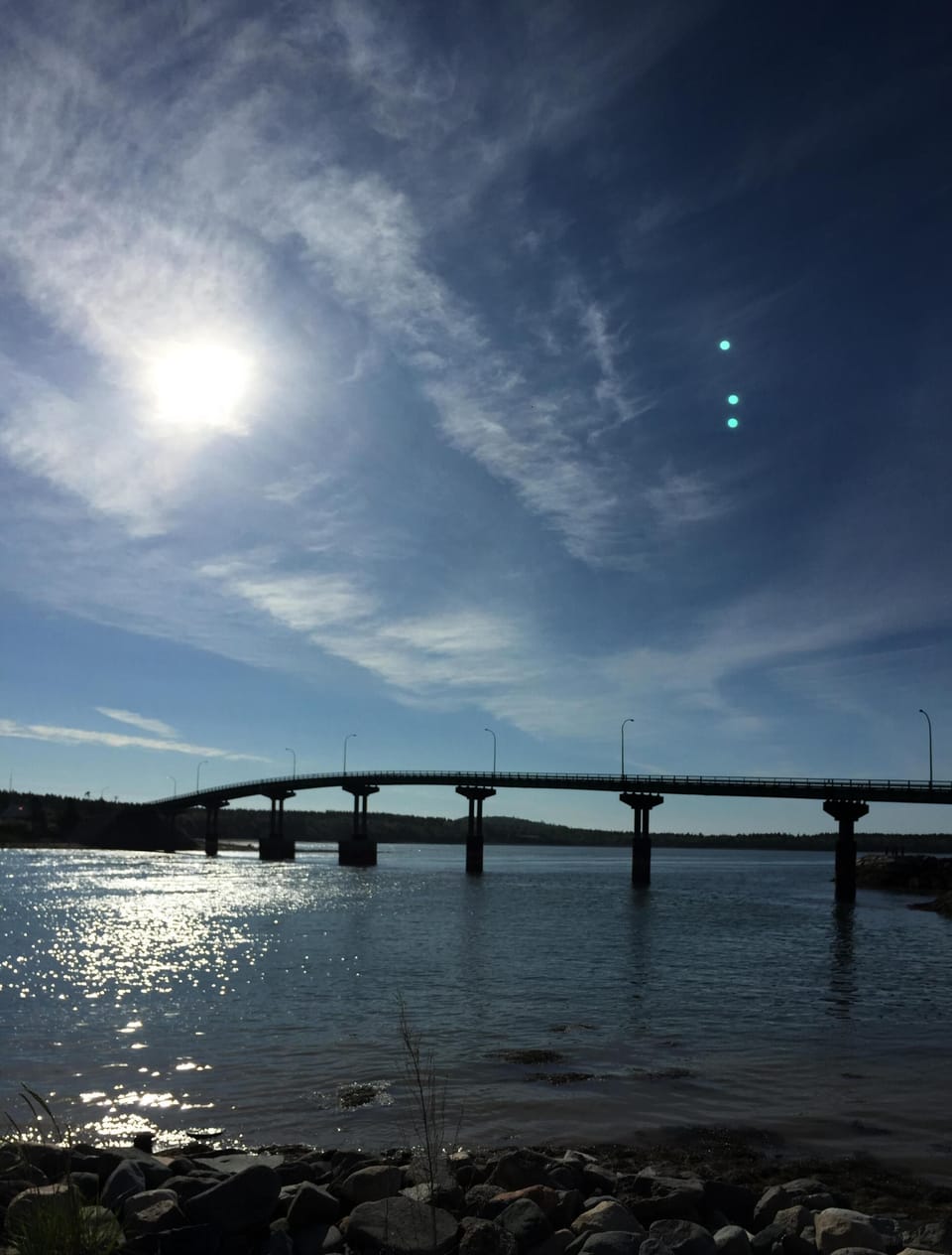 FDR Bridge- view from sunroom and sitting area. Where seals play in late summer!