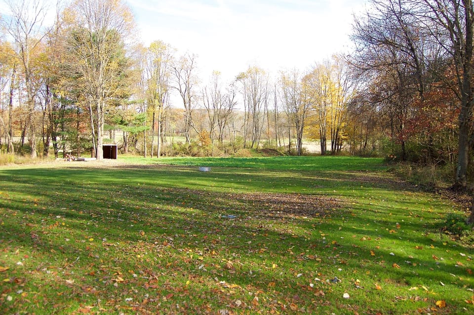 View from the back deck.  Firepit.