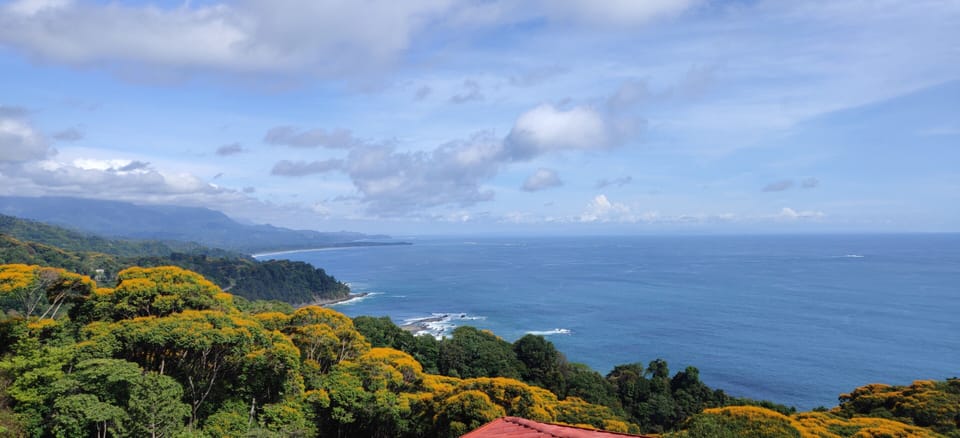 View of Pacific Ocean from back terrace