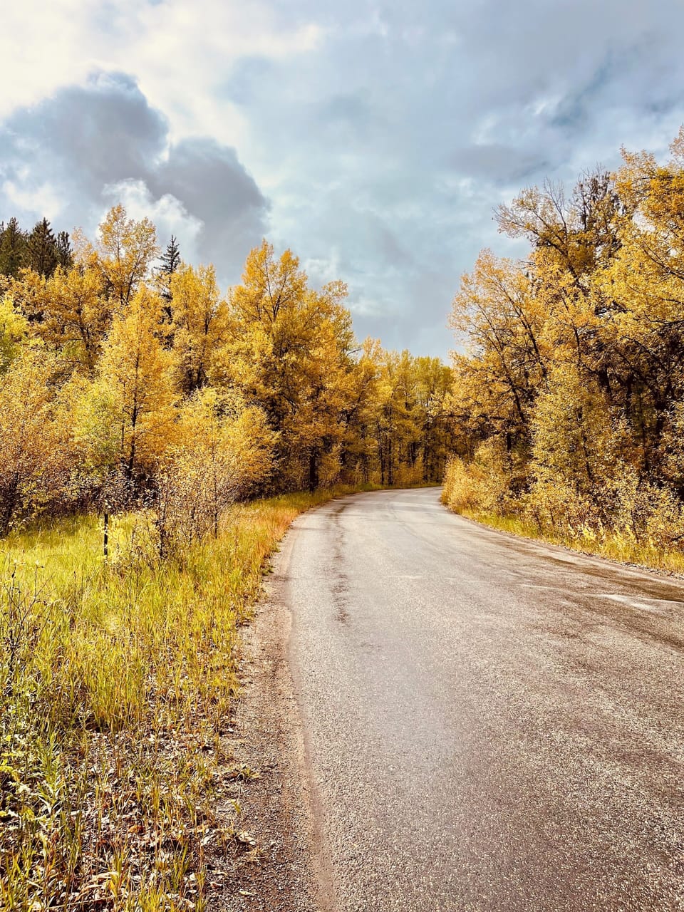 Gorgeous 2 miles drive in from highway 285