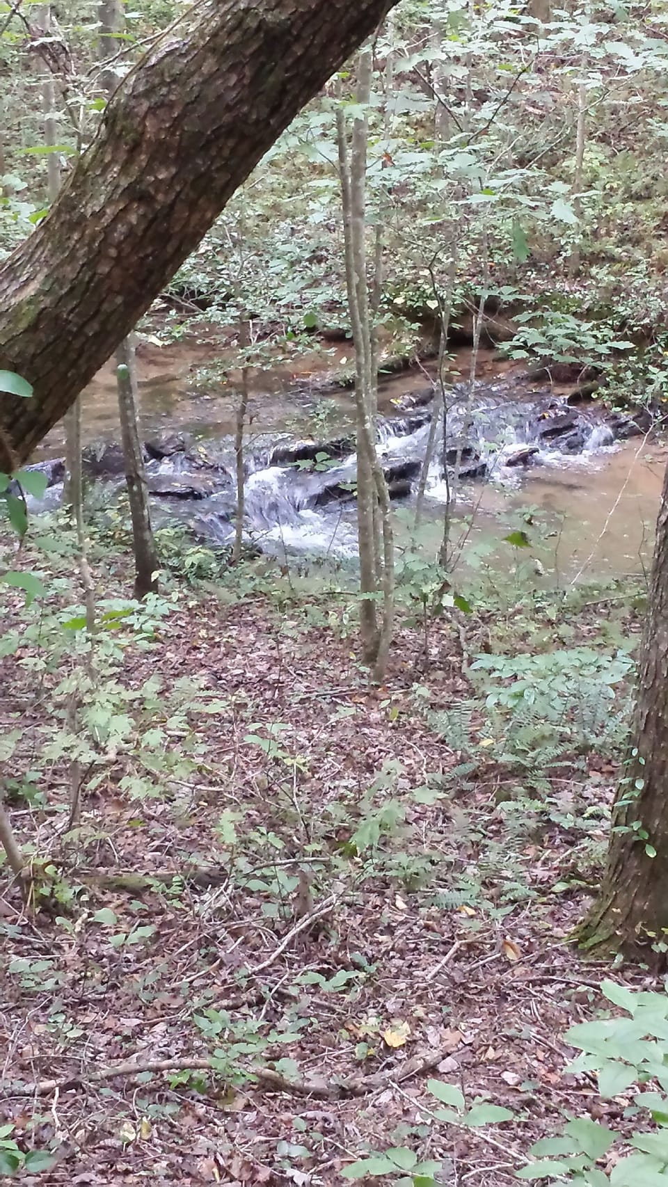 Noisy rapids along the paths

